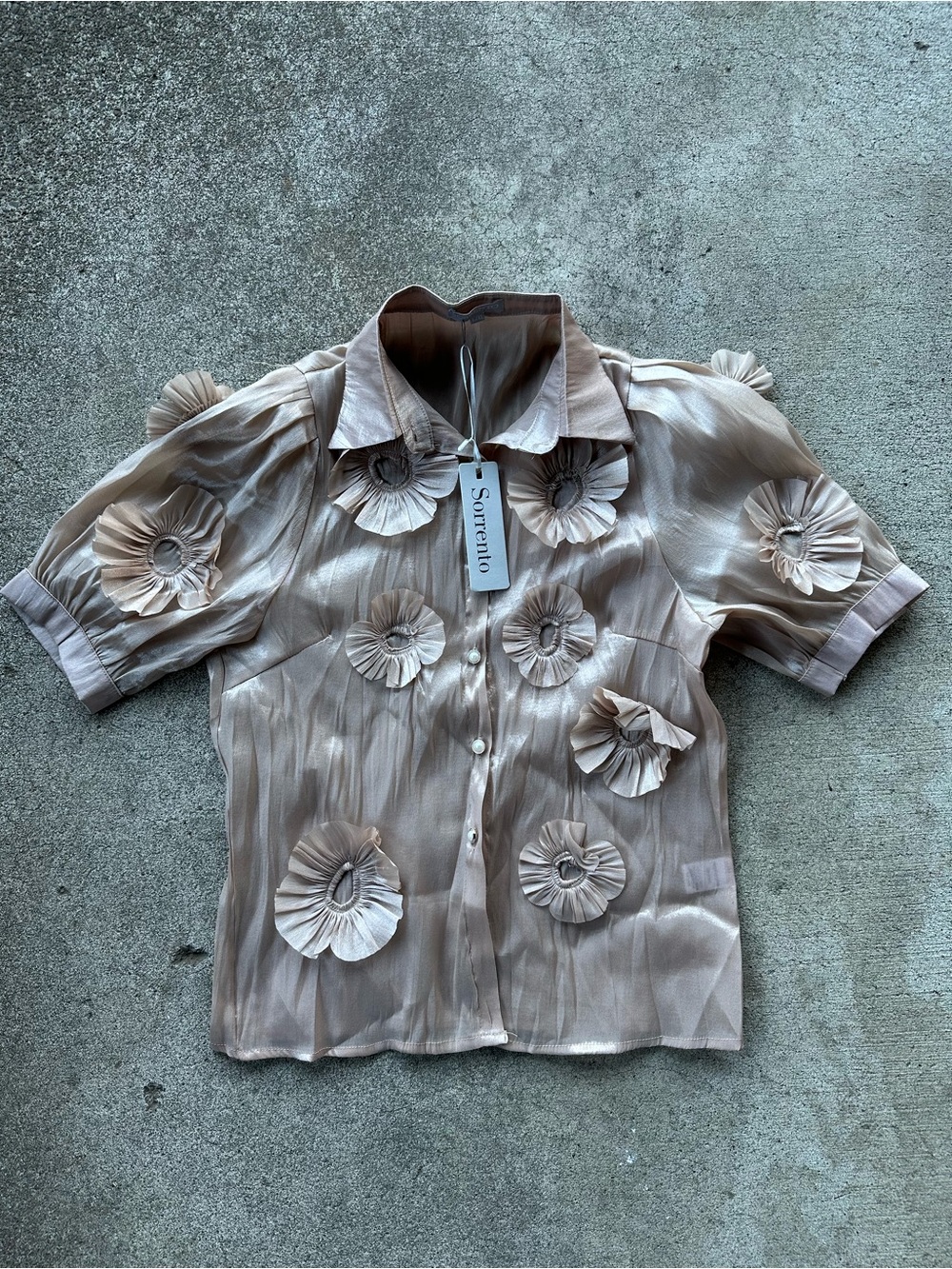Sorrento Floral Applique Short-Sleeve Sheer Button Blouse